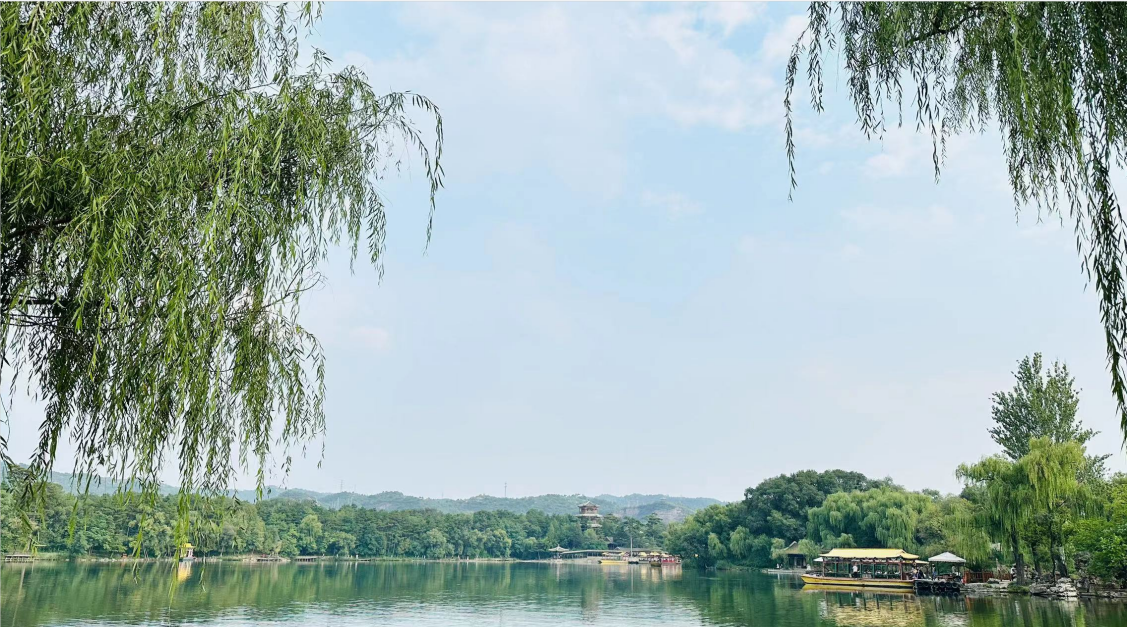 风韵犹存熟妇一区二区三区