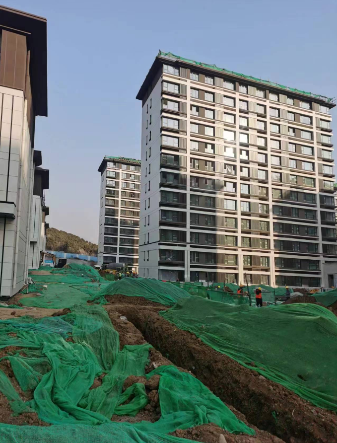 风韵犹存熟妇一区二区三区