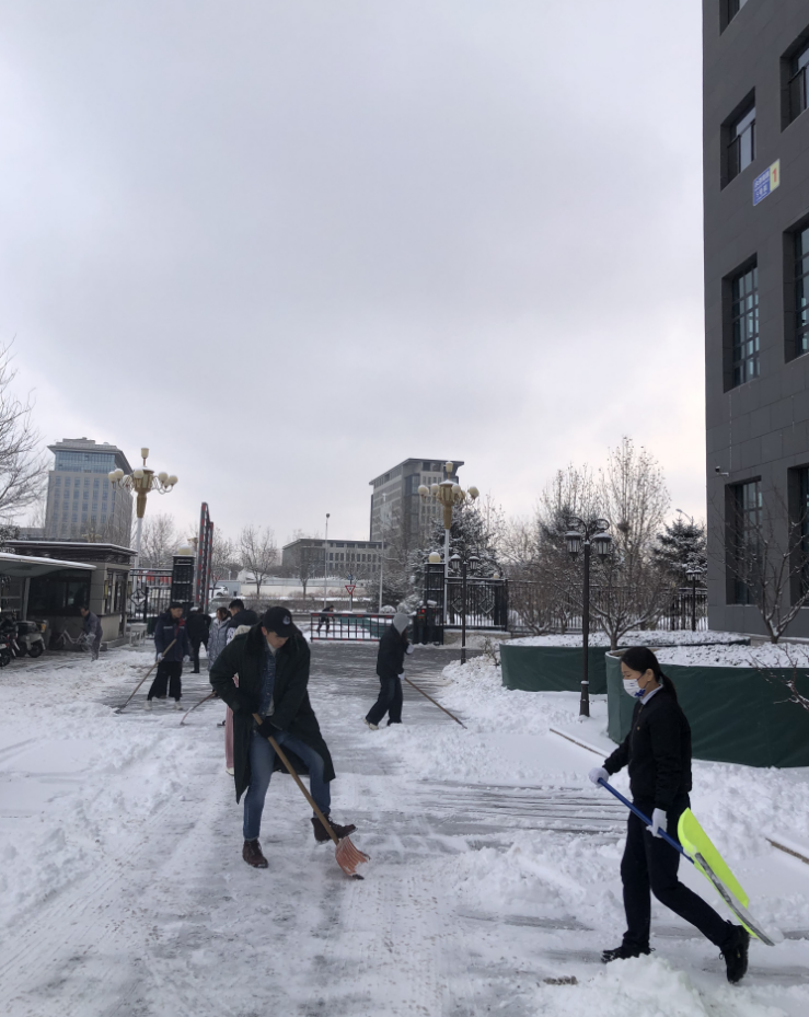 风韵犹存熟妇一区二区三区