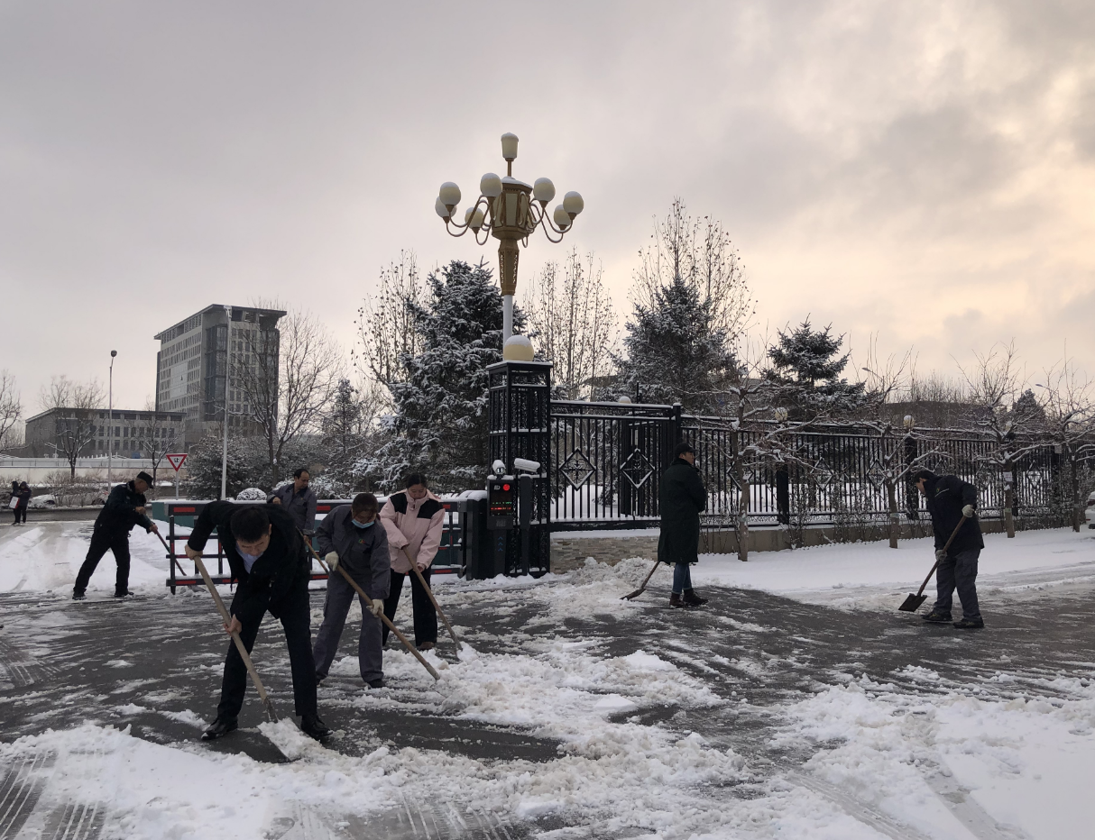 风韵犹存熟妇一区二区三区